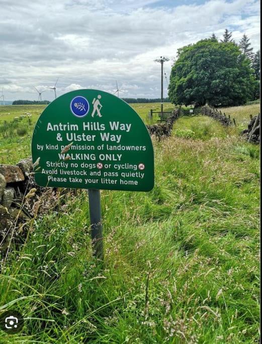 Bracken * Ballyeaston