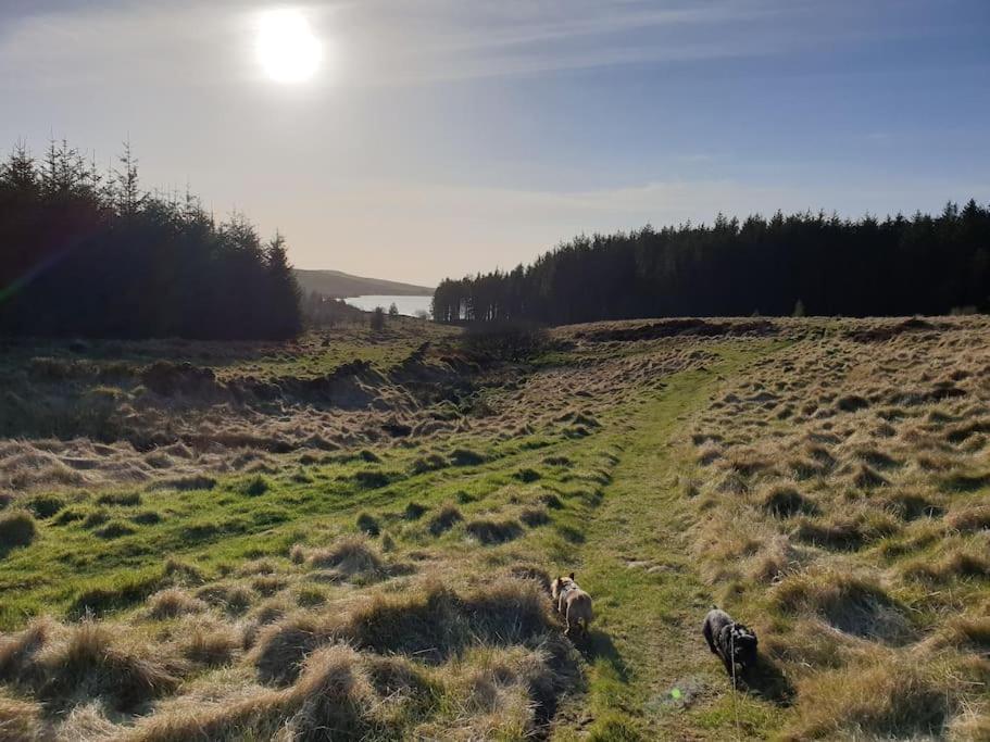 Bracken Holiday home Ballyeaston