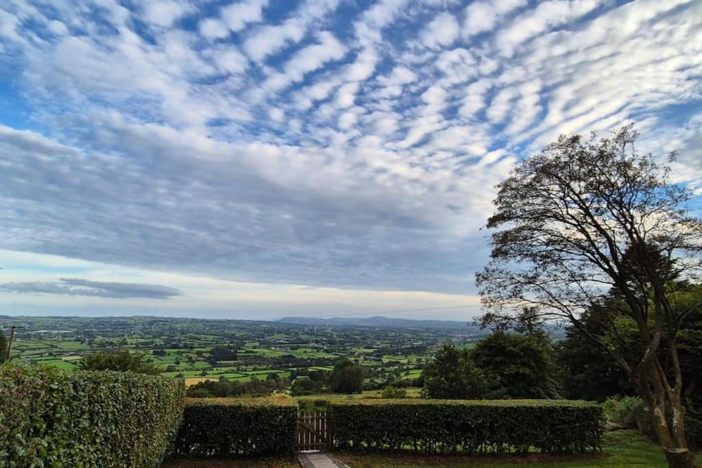 Bracken * Ballyeaston